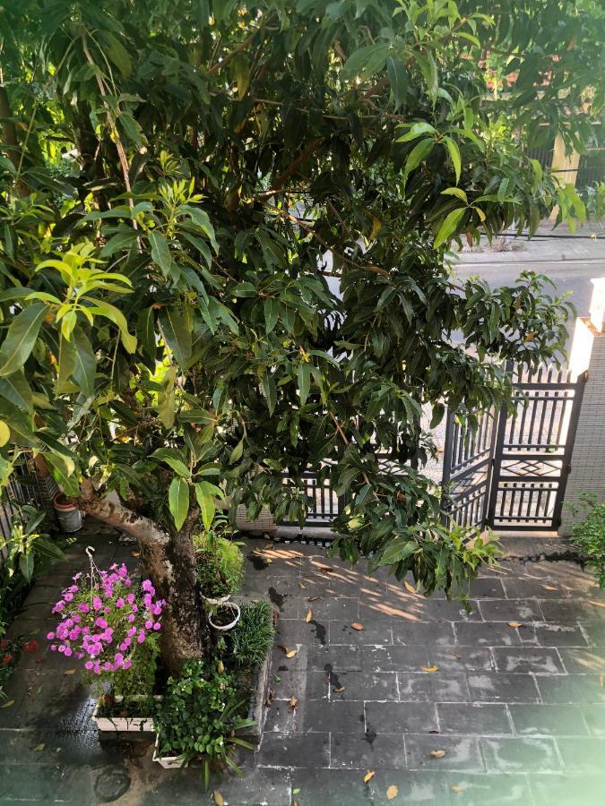 Homestay Phuong House Hoi An Esterno foto